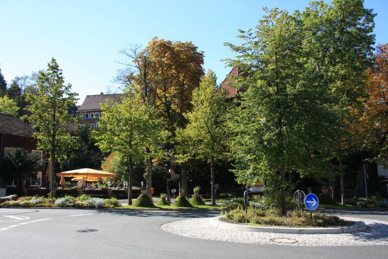 Kurpark Domizil Villa Altenau  Eksteriør billede